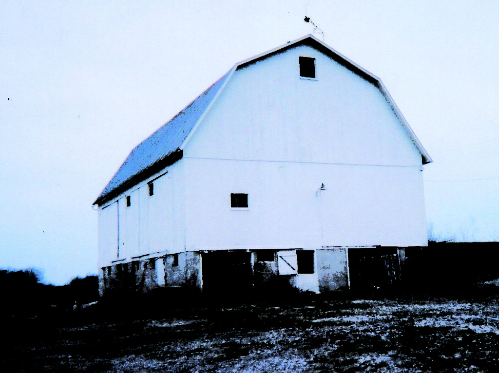 Bachrach Cattle Barn